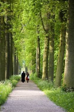 mensen wandelen in groen bos